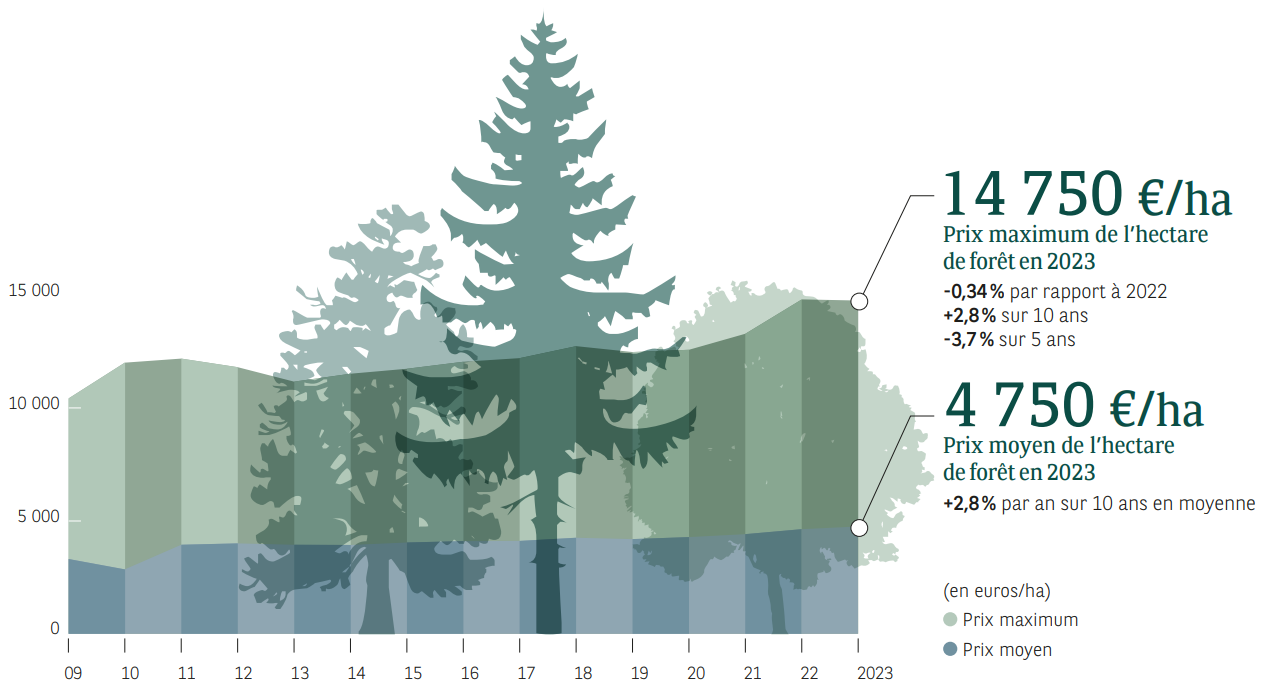 evolution du prix moyen et du prix maximum en foret